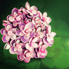 925 Silver Handmade Pink Dreams Brooch (Atelier)